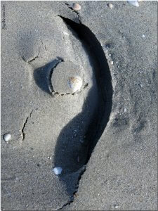 סיגל קרומר | יוצרת עולמות | הגב שלי ואני