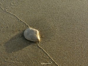 סיגל קרומר  | יוצרת עולמות | בין יצירה והיווצרות