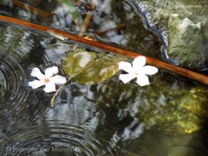 סיגל קרומר | יוצרת עולמות | המסע אל אזור הנוחות