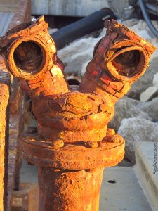 סיגל קרומר | יוצרת עולמות | כל-כך שונה ממני