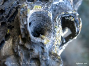 סיגל קרומר | יוצרת עולמות | הדרך ארוכה ומתפתלת