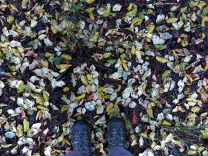 סיגל קרומר | יוצרת עולמות | הכל בסדר