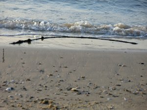 סיגל קרומר | יוצרת עולמות | יוצאת מעצמי... (פרק ב')
