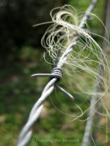 סיגל קרומר | יוצרת עולמות | יום השואה תשע"ה