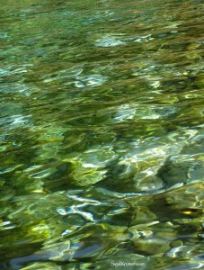 סיגל קרומר | יוצרת עולמות | תפסיקי לזוז