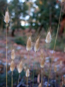 סיגל קרומר | יוצרת עולמות | לשמוע ולהקשיב