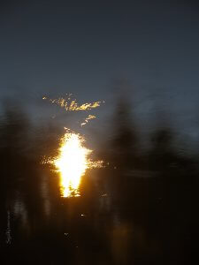 סיגל קרומר | יוצרת עולמות | כמעט שנה