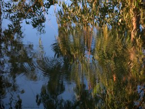 סיגל קרומר | יוצרת עולמות | ראש השנה תשע"ז