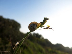 סיגל קרומר | יוצרת עולמות | לפחד ולדחוף או פשוט להרפות