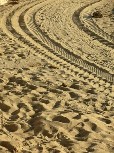 סיגל קרומר | יוצרת עולמות | ללכת לאיבוד, למצוא כיוון