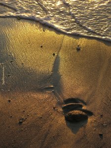 סיגל קרומר | יוצרת עולמות | החמימות הטבעית של הלב
