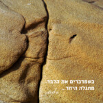 יחד Framing the Moment | רגעים | סיגל קרומר | יחד