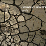 חכמת הדרך Framing the Moment | רגעים | סיגל קרומר | חכמת הדרך