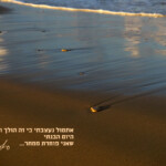 הולך ונגמר Framing the Moment | רגעים | סיגל קרומר | הולך ונגמר