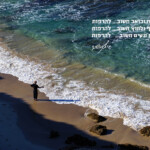 להרפות Framing the Moment | רגעים | סיגל קרומר | להרפות