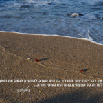 קו החוף Framing the Moment | רגעים | סיגל קרומר | קו החוף