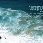 קו התפר Framing the Moment | רגעים | סיגל קרומר | קו התפר
